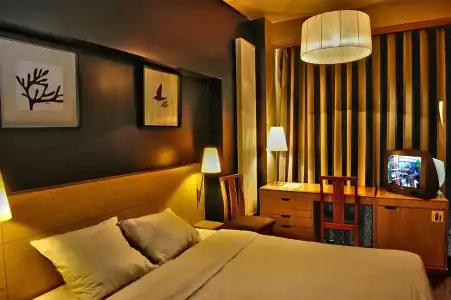Hôtel Aviation - 51
