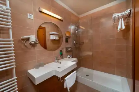 Mercure Szekesfehervar Magyar Kiraly - 45