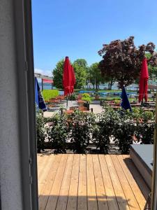 Schlossblick Chiemsee - 51