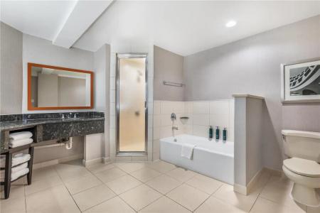 DoubleTree by Hilton Williamsburg - 102