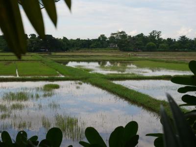 Baan Suan Palm Resort - 11