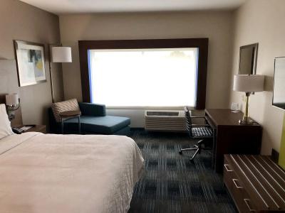 Holiday Inn Express & Suites HOUSTON WESTCHASE - WESTHEIMER by IHG - 4