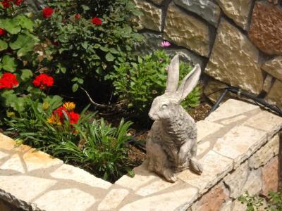 Pitho - 53