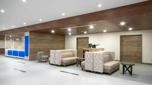 Holiday Inn Express Mexico Basilica by IHG - 31
