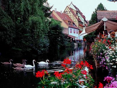 Ibis Colmar Centre - 14