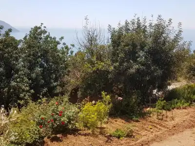 Shiva Camp - 19