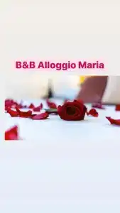 B&B Alloggio Maria - 128