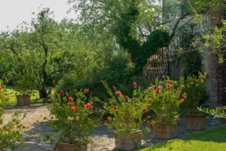 Resort La Ghiaia - Guest House - 36