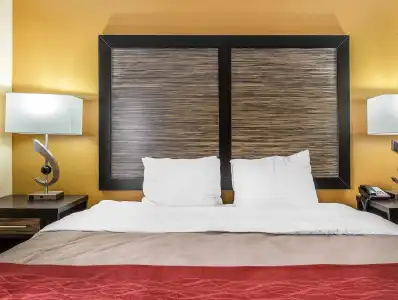 Quality Inn & Suites Montgomery East Carmichael Rd - 25