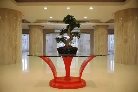 Sun Palace - All inclusive - 1