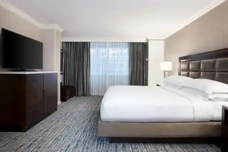 Hilton Tampa Downtown - 4