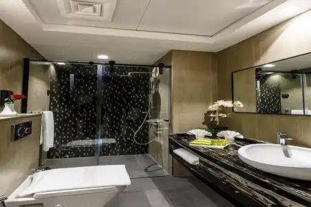 Rose Executive - DWTC - 26