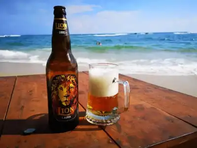 Turtle Beach Resort - 21