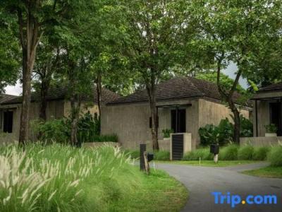 MUTHI MAYA Forest Pool Villa Resort - 113