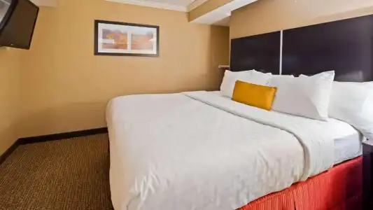 Best Western Harrisburg North - 33