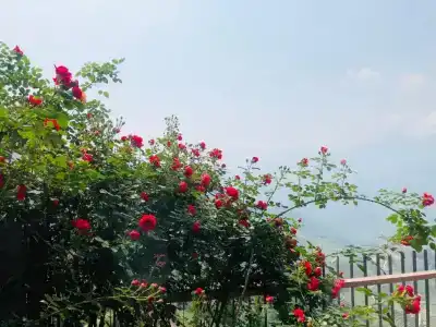 Pao's Sapa Leisure - 45