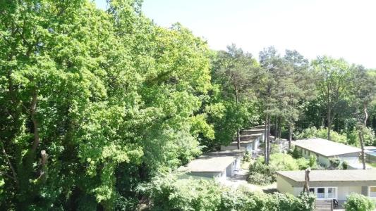 Waldschloss Parow - 24