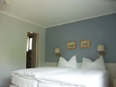 Chartreuse - 6
