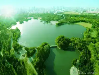China Grain - 10