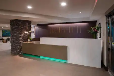 The Delaney - 12