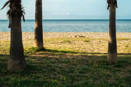 Camping Bellsol - 18