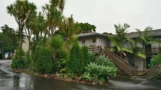 Siesta Motel - 9