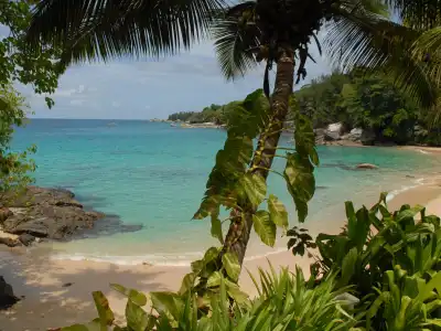 Sunset Beach - 10