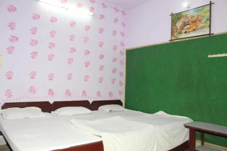 Raj Bed & Breakfast - 5