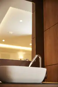Lion - 18