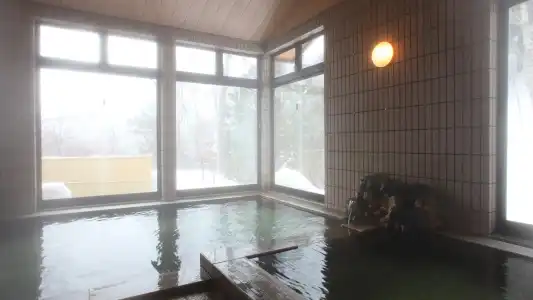 Nakanoyu Onsen Ryokan - 9