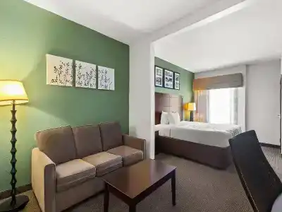 Sleep Inn & Suites Bush Intercontinental - IAH East - 49