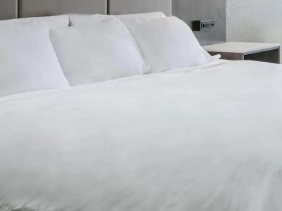 Radisson Phoenix Airport - 31