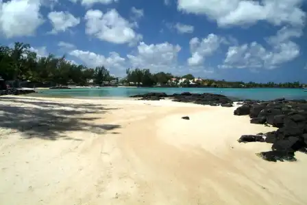 Ocean Beauty - 15