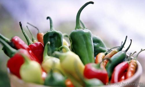 Encanto de Las Cruces - 9