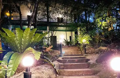 Green House - 36