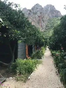 Yakamoz Pansiyon - 13