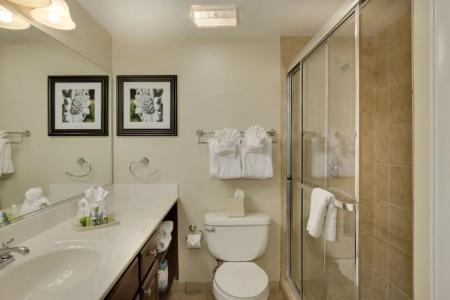 Bluegreen Vacations Patrick Henry Square, an Ascend Collection Resort - 45