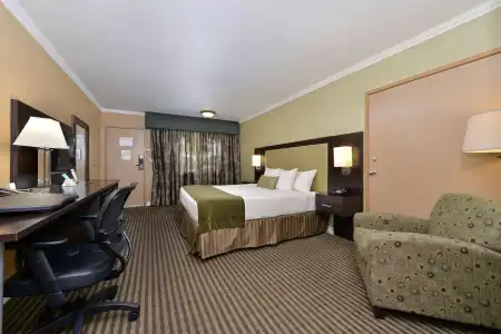 Royal Sun & Suites - 74