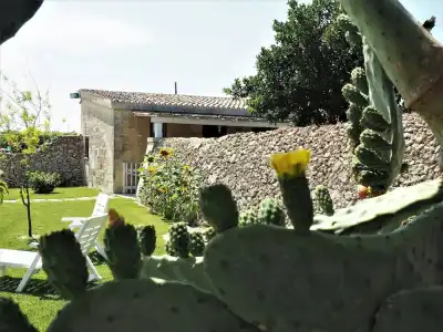 Agriturismo Masseria Costarella - 18