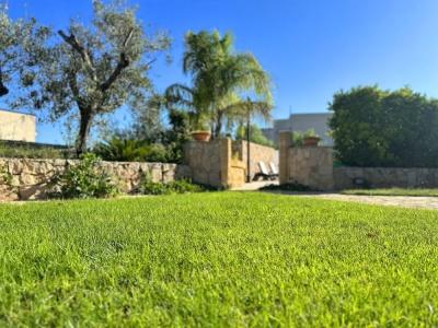 Villa B&B Antiche Macine del Salento - 35