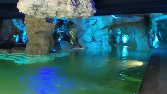 Regina Palace - 33