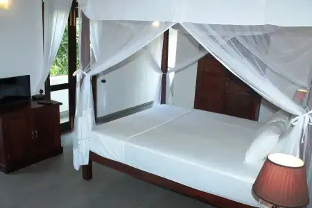 Boutique Villa Shanthi - 3