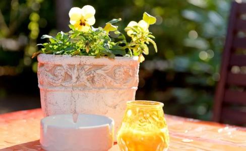 am Katharinenholz - 35