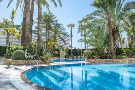 AR Diamante Beach & Spa 4 Sup - 17