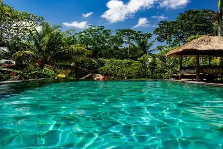 Ubud Sari Health Resort - 2