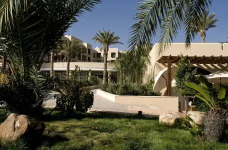 Dead Sea Marriott Resort & Spa - 22