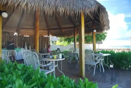 The Islander - 15