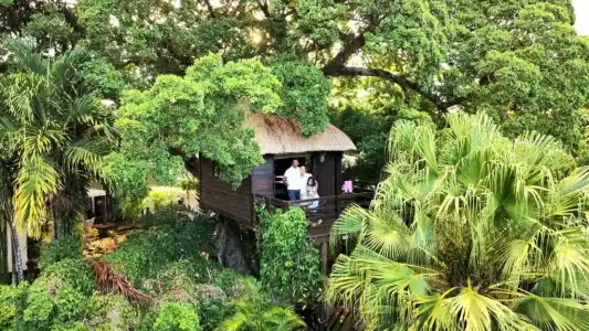 Tree Lodge Mauritius - 23