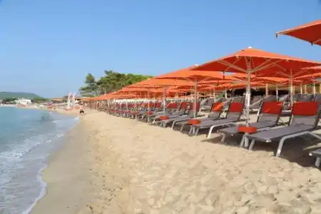 Dei Coralli - 20