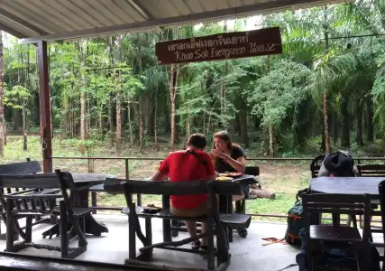Khao Sok Evergreen House - 8